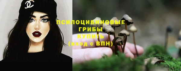 ECSTASY Баксан