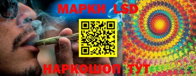 мдпв Донецк