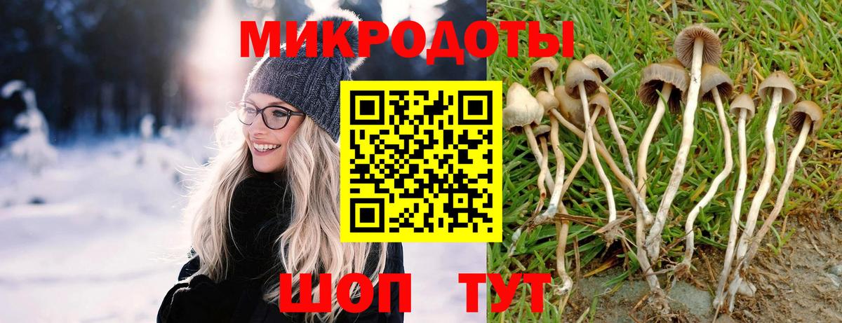 Псилоцибиновые грибы GOLDEN TEACHER Новый Уренгой