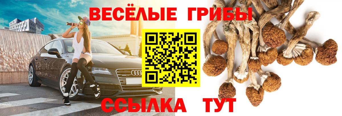 Галлюциногенные грибы Magic Shrooms  Псилоцибиновые грибы GOLDEN TEACHER  Новый Уренгой  наркотики  Вход с VPN 